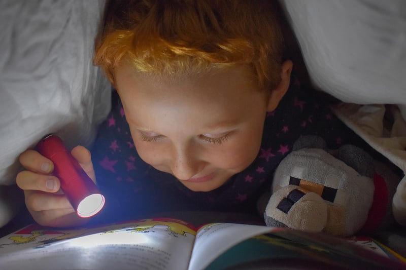 Child Reading Storybook